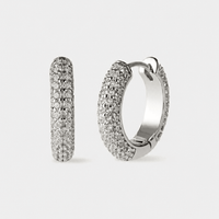 Iced Hoop Earrings